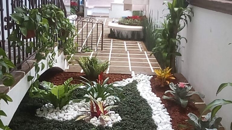 13090 jardineria gonzalez 768x432