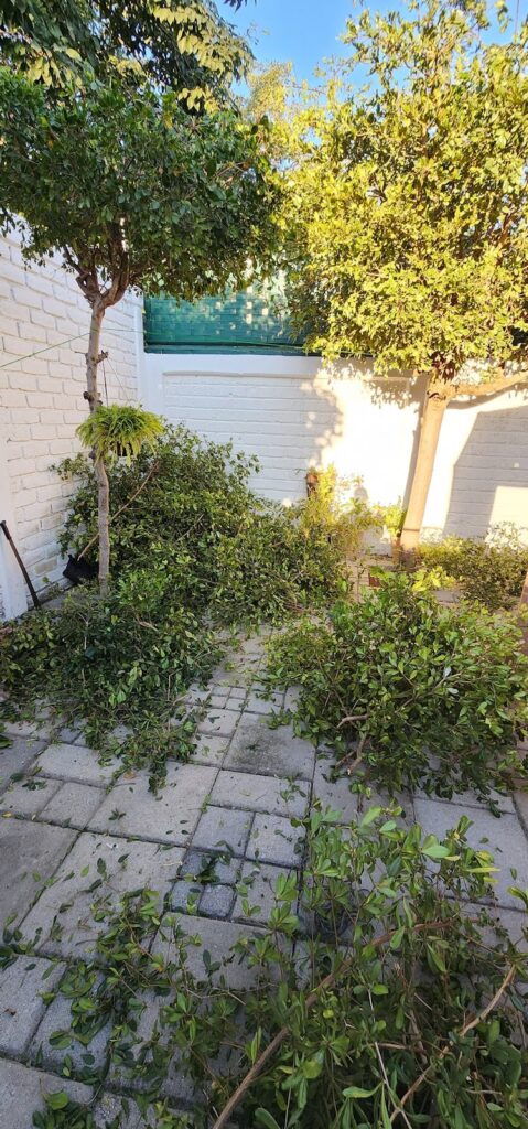 13135 jardineros manzanillo 479x1024