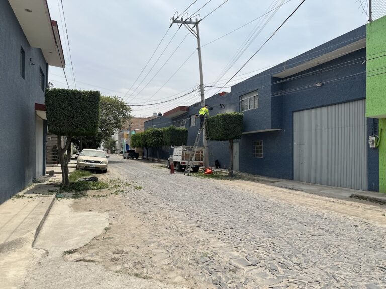 13194 jardineros de jalisco 768x576