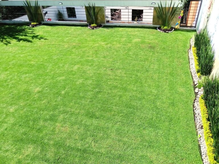 13233 jardify jardineria y paisajismo tlalnepantla 768x576