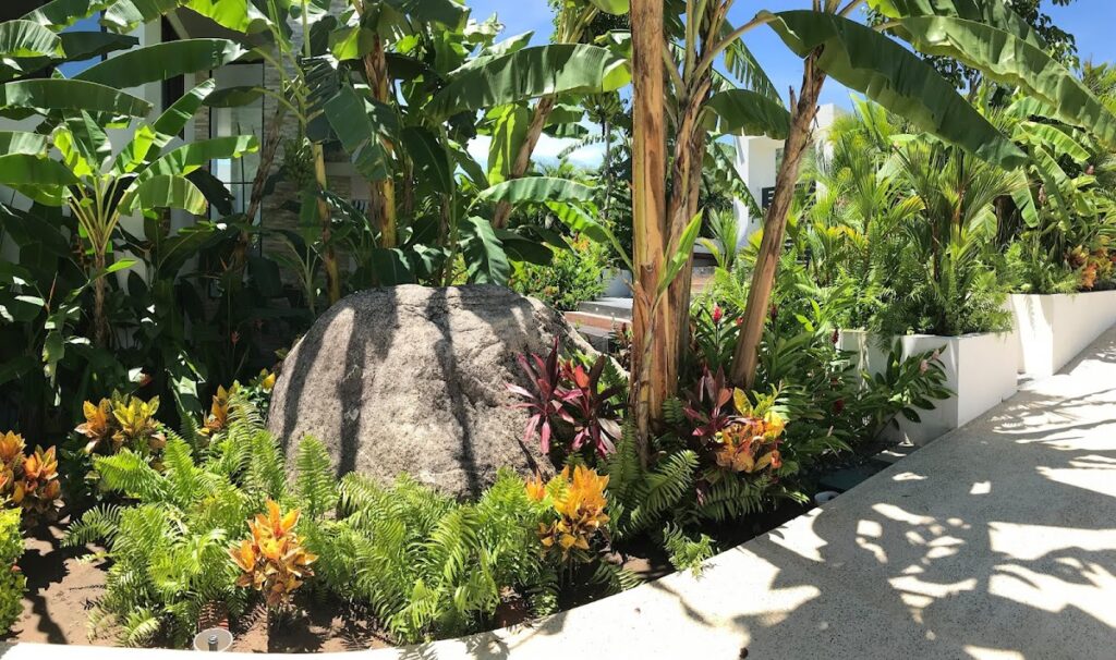 13278 vivero mi jardin 1024x606