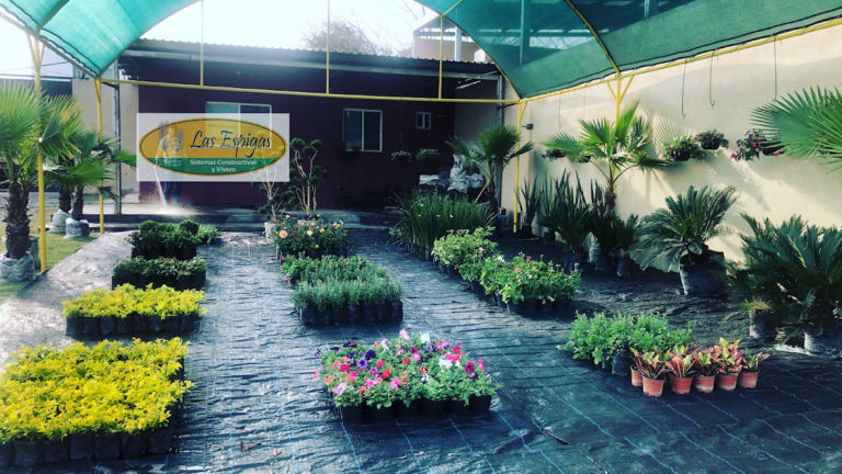 13304 las espigas paisajismo y vivero 768x432