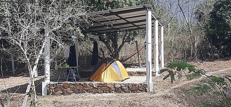 13312 jardin botanico 768x355