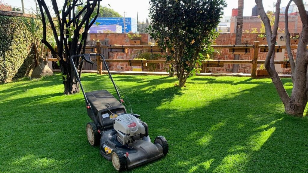 13327 jardineria juarez 1024x576