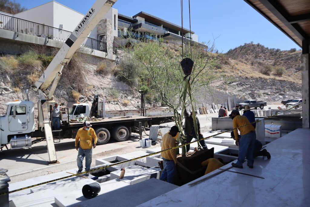 13394 arbol 2000 landscaping 1024x683