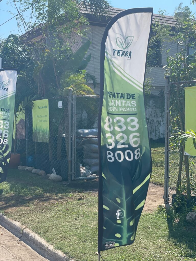 13410 viveros terra tampico 768x1024