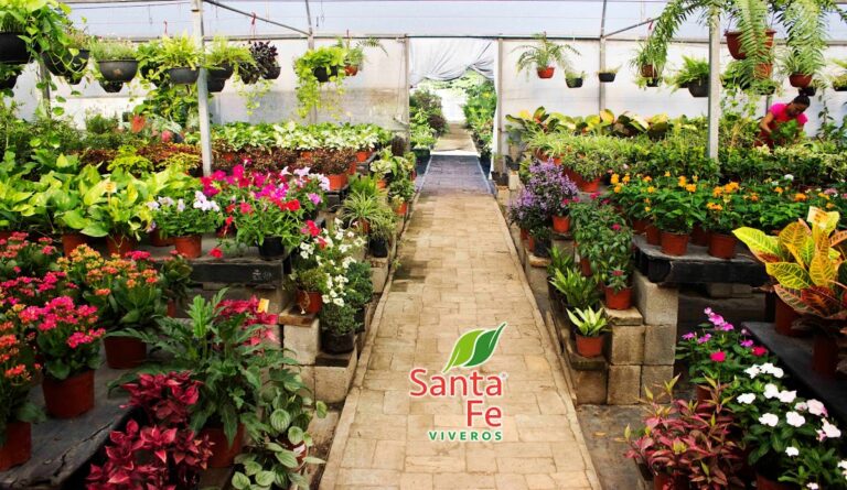 13412 santa fe viveros 768x445