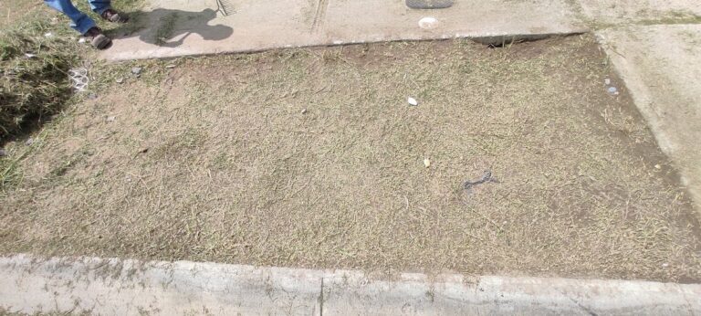 13426 cortes de sacate ck 768x346