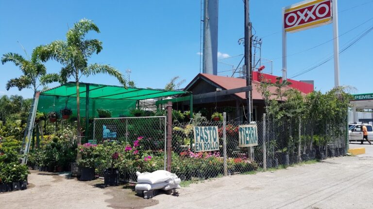 13428 vivero vista verde accion civica 768x432