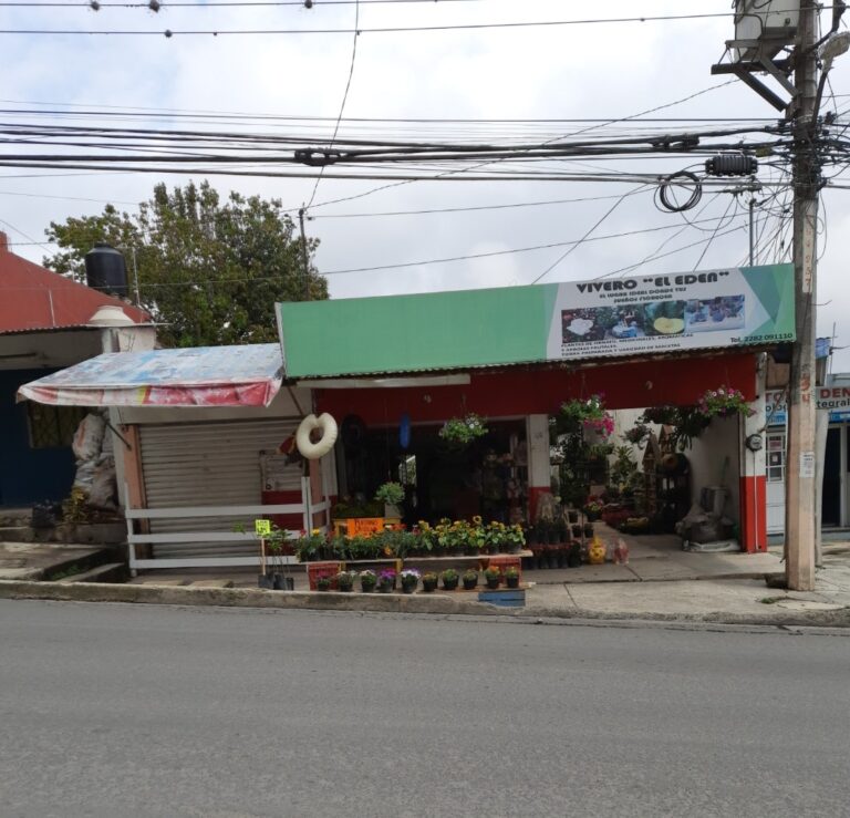 13452 vivero el eden 768x739