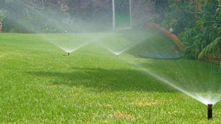 13456 green jardineria 768x432