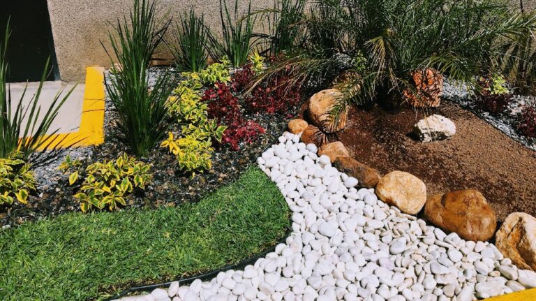 13490 vivero forestal seesarve 768x431