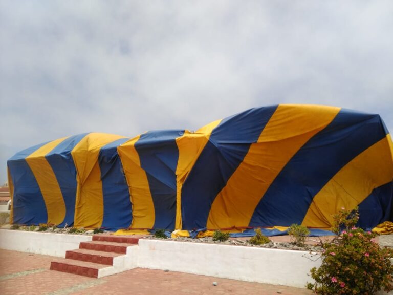 13507 control de plagas fumigadora 768x576