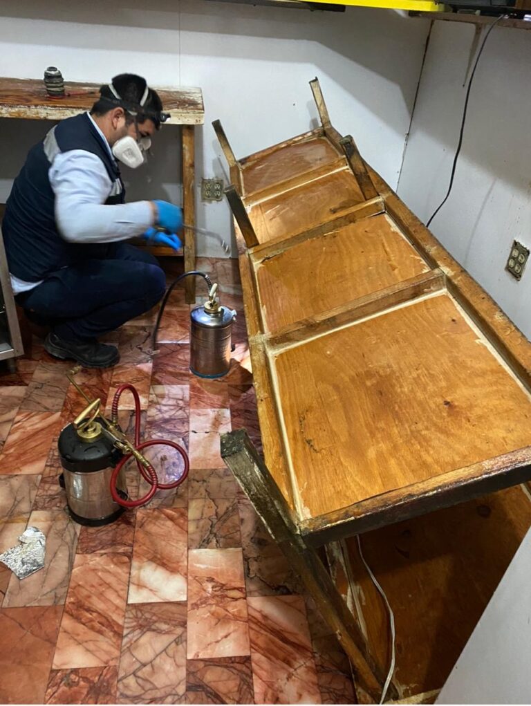 13511 fumigaciones bajamex 768x1021