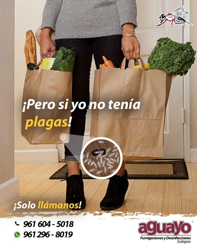 13568 aguayo fumigaciones y desinfecciones ecologicas 768x960