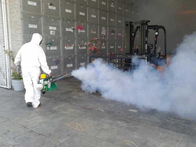 13602 fumigaciones y control de plagas cdmx mata bichos 768x576