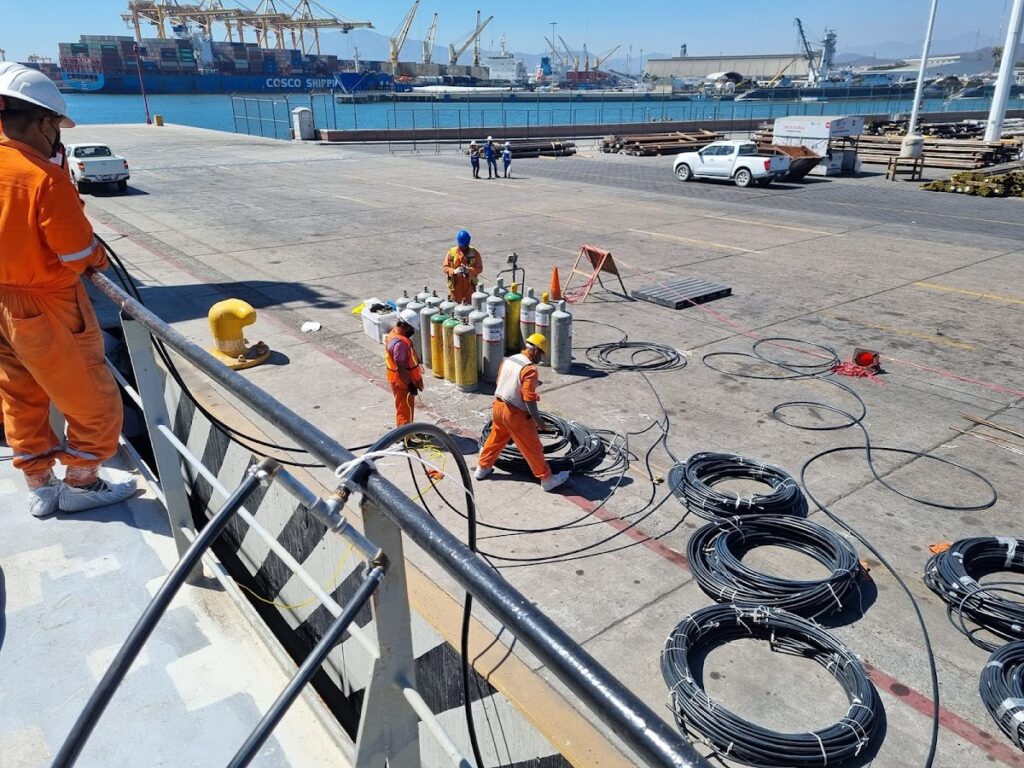 13652 centro internacional de fumigaciones fitosanitarias s.a. de c.v 1024x768