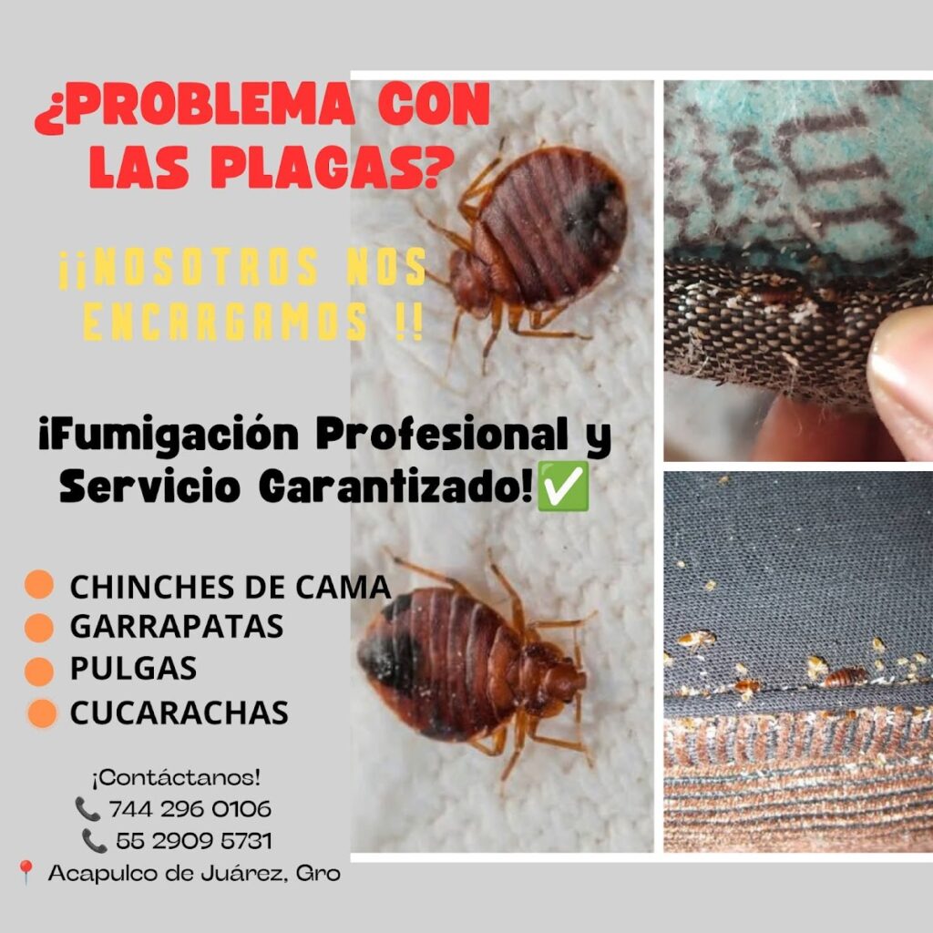 13716 navega control de plagas y sanitizacion 1024x1024