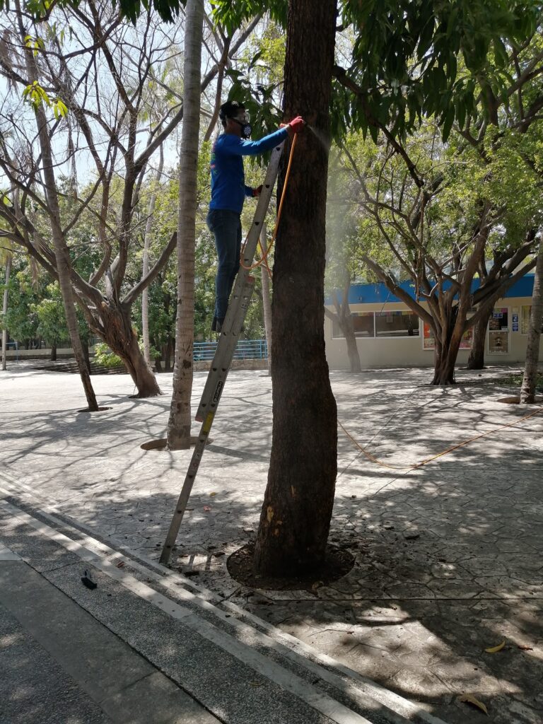 13720 chase control de plagas 768x1024