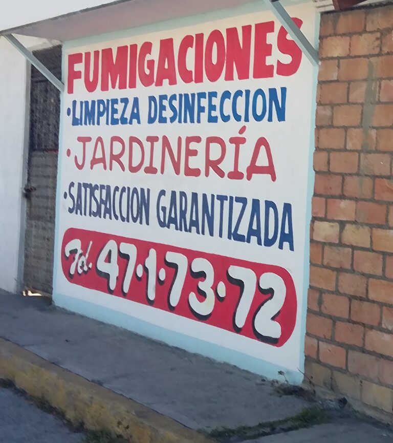 13725 plaga sol 768x865