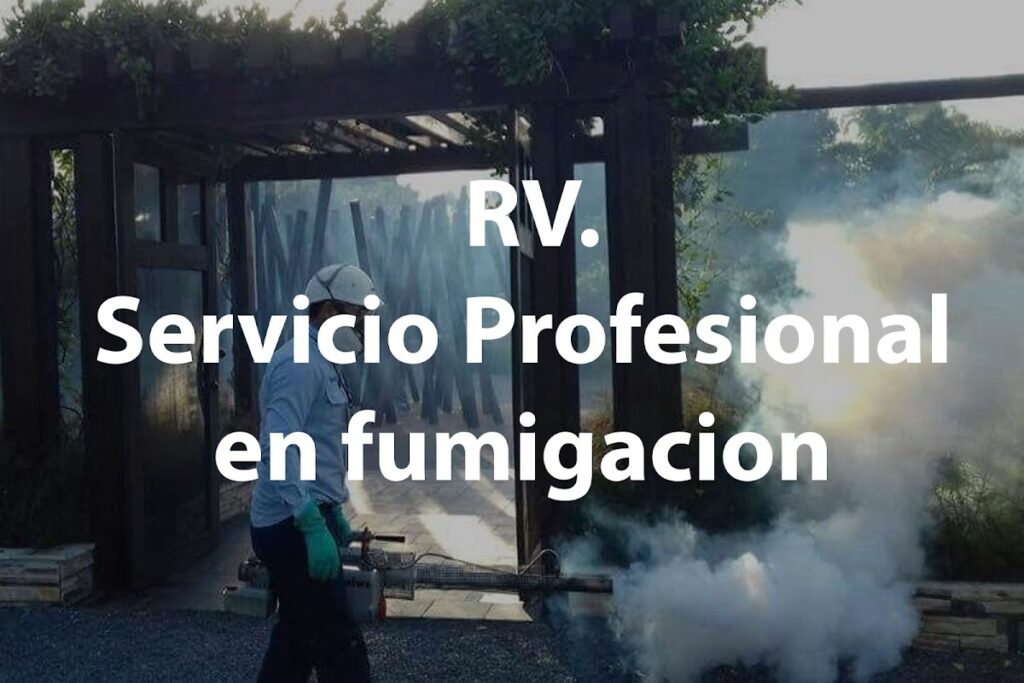 13740 rv fumigacion hidalgo servicio integral de control de plagas 1024x683