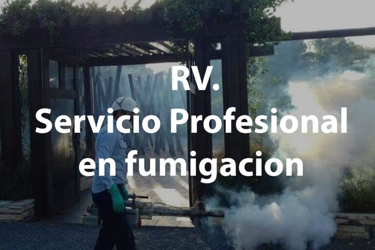 13740 rv fumigacion hidalgo servicio integral de control de plagas 768x512