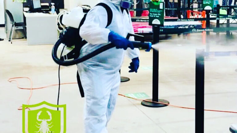 13755 erradik fumigaciones guadalajara 768x432