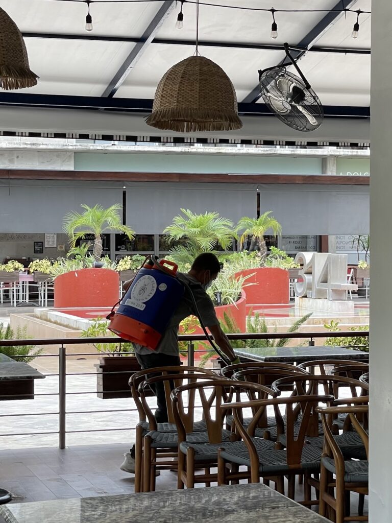 13771 control de plagas vallarta 768x1024