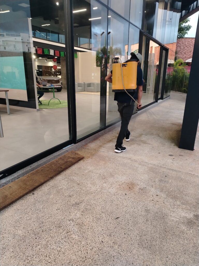 13773 control de plagas veracruz 768x1024