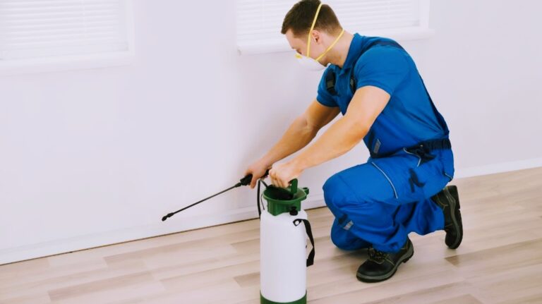 13787 fumigaciones gr control 768x431