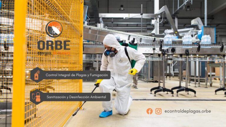13849 orbe control de plagas y fumigacion cuautla morelos 768x432