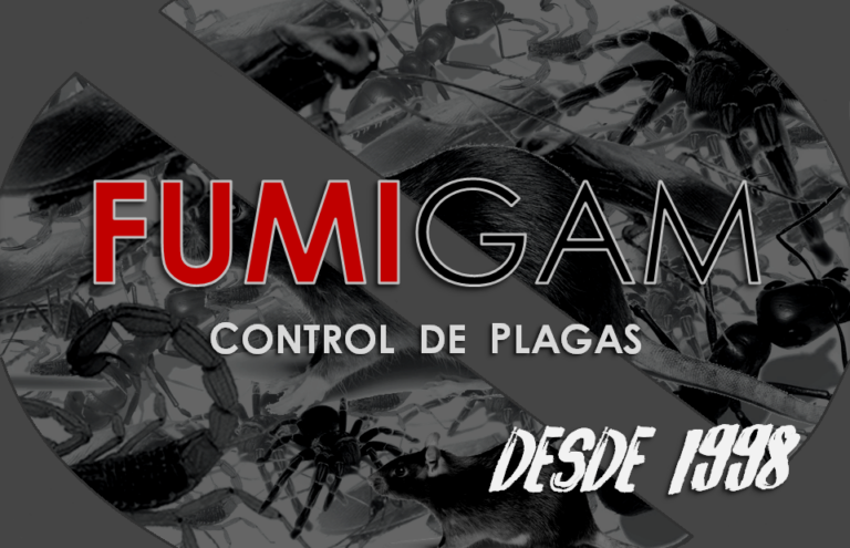 13876 fumigam control y prevencion de plagas 768x495