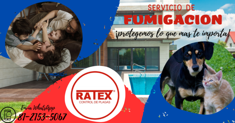 13878 ratex control de plagas 768x402