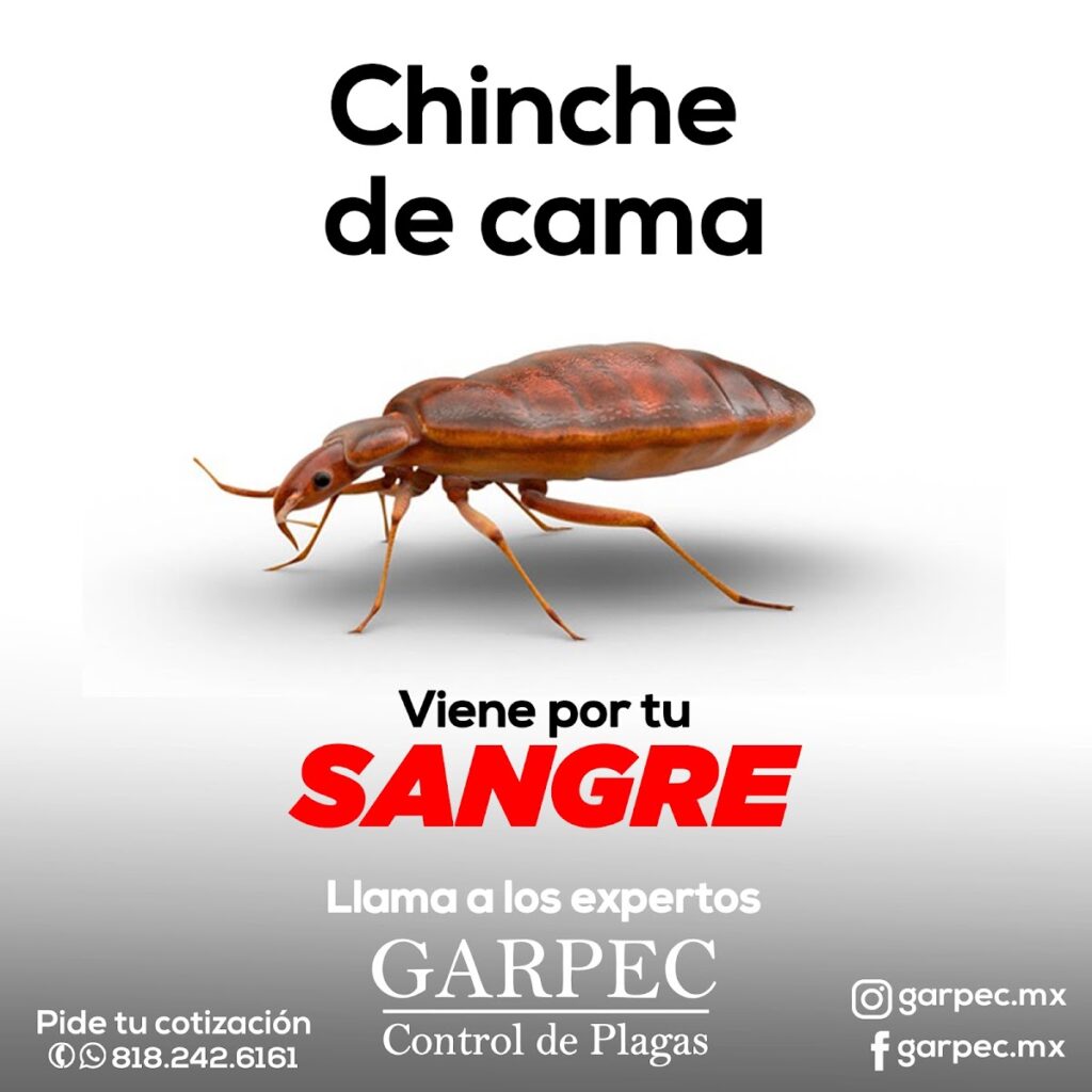 13880 garpec control de plagas 1024x1024