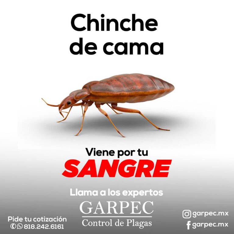 13880 garpec control de plagas 768x768