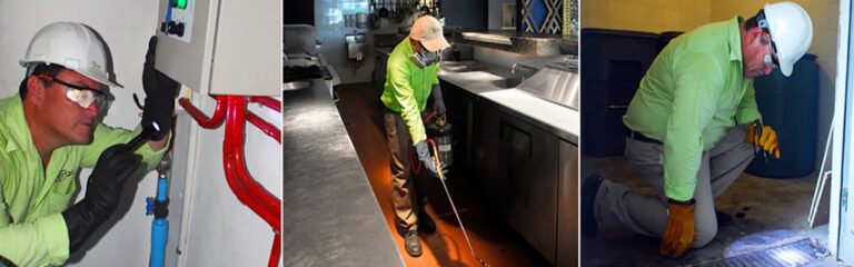 13964 birtac fumigaciones playa del carmen 768x240