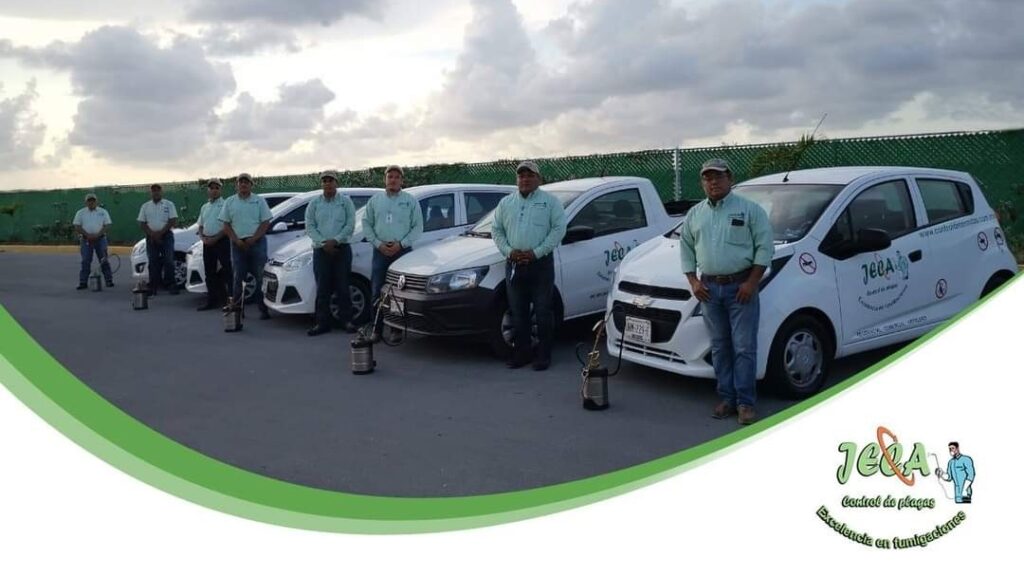 13971 fumigaciones jeca playa del carmen 1024x576