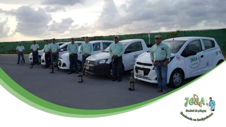 13971 fumigaciones jeca playa del carmen 768x432