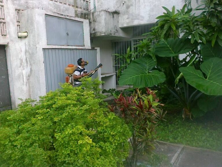 13982 fumigaciones y extinguidores del sureste 768x576