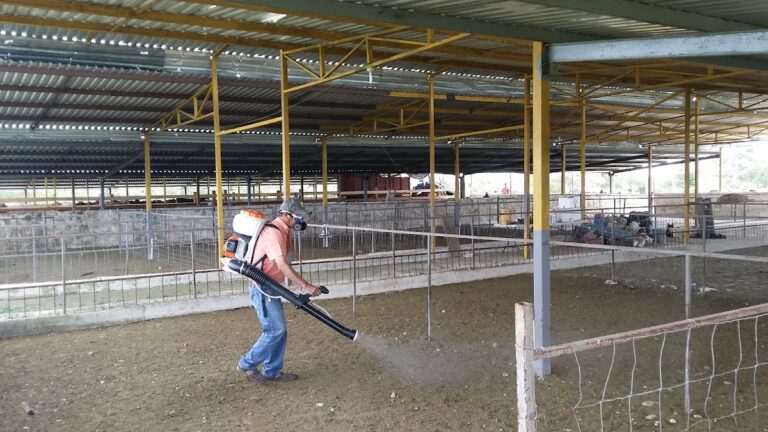 13984 fumigaciones en un 22153 768x432