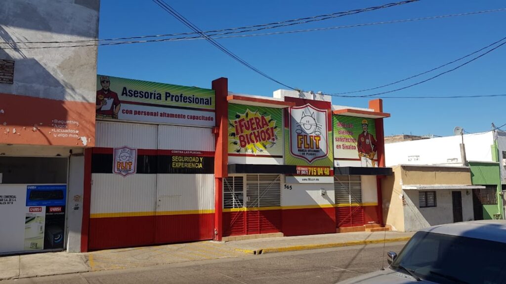 14005 flit fumigaciones 1024x576