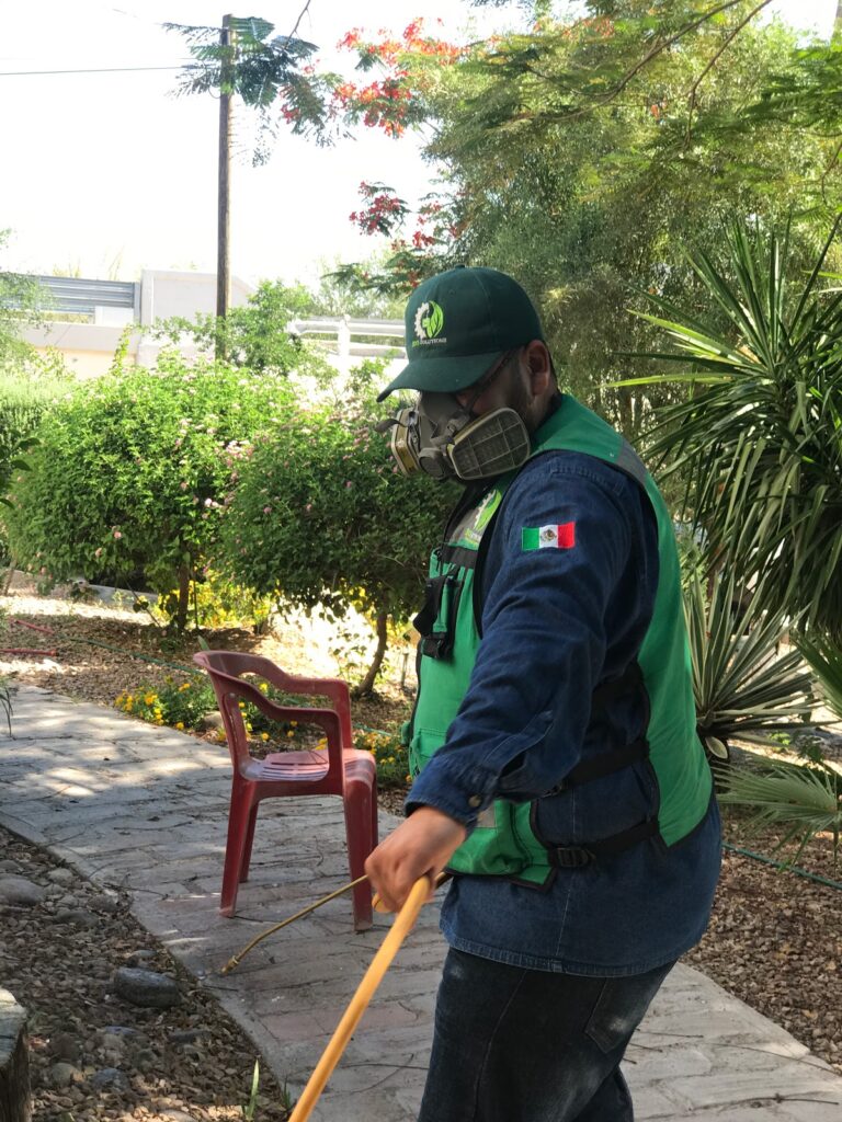 14029 ecosolutions fumigaciones ecologicas 768x1024