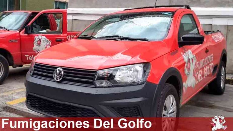 14070 fumigaciones del golfo 768x432