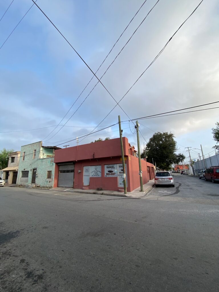 14074 fumigaciones rangel reynosa 768x1024