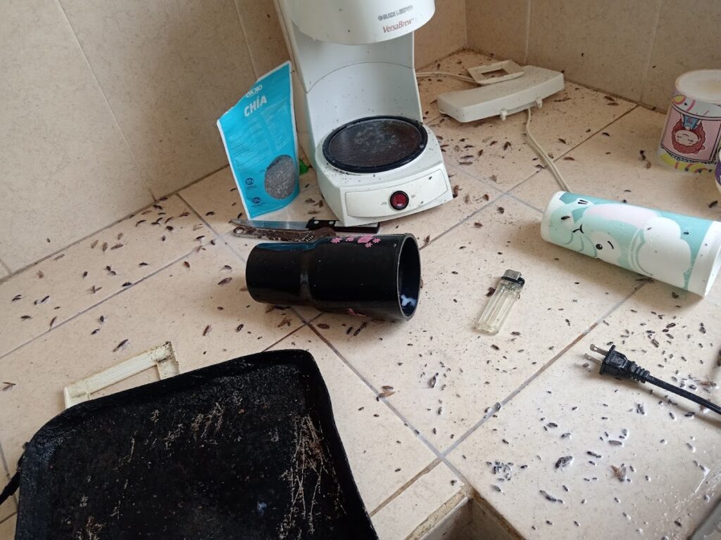 14079 fumigaciones gemar 1024x768