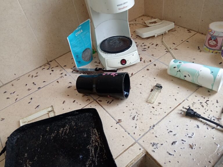 14079 fumigaciones gemar 768x576