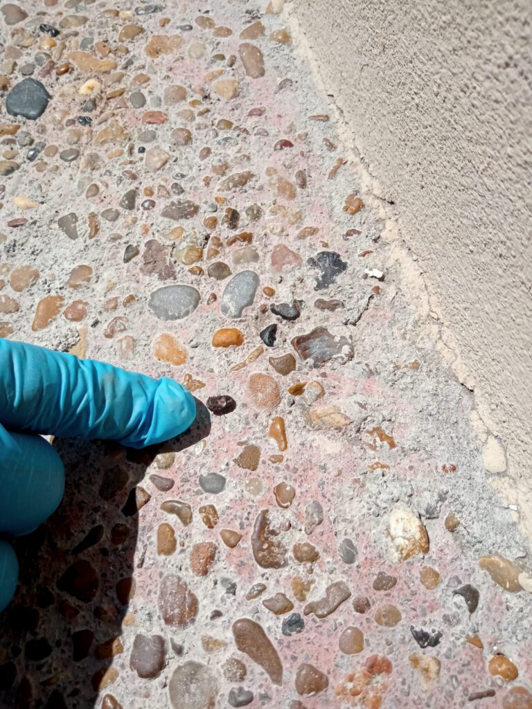 14085 fumigaciones sator 768x1024