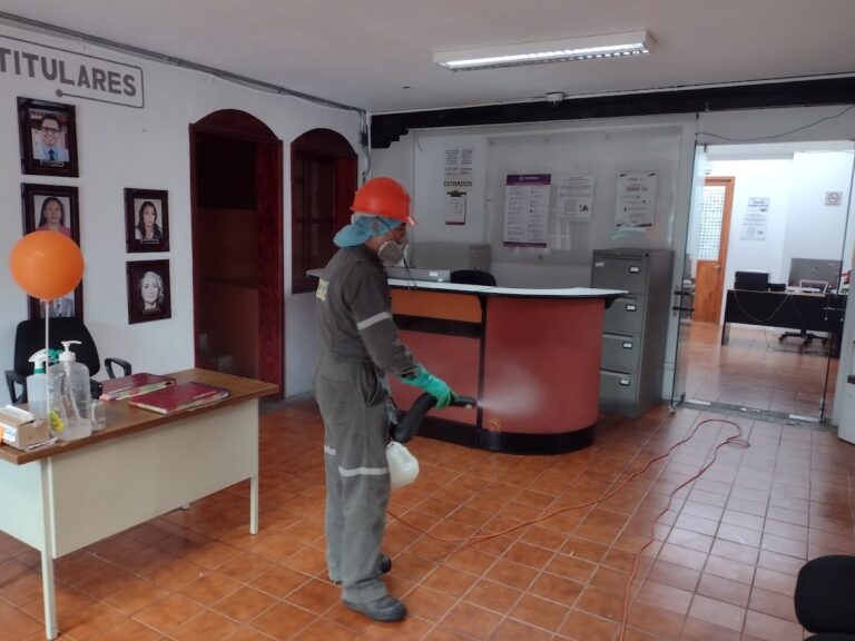 14104 fumydes control integral de plagas 768x576