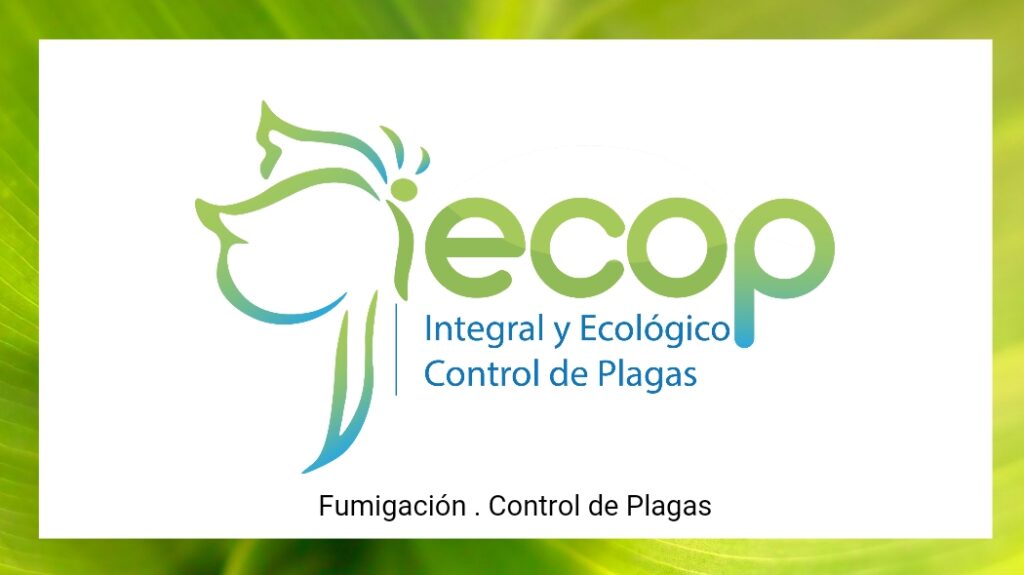 14108 fumigaciones xalapa iecop control de plagas 1024x575