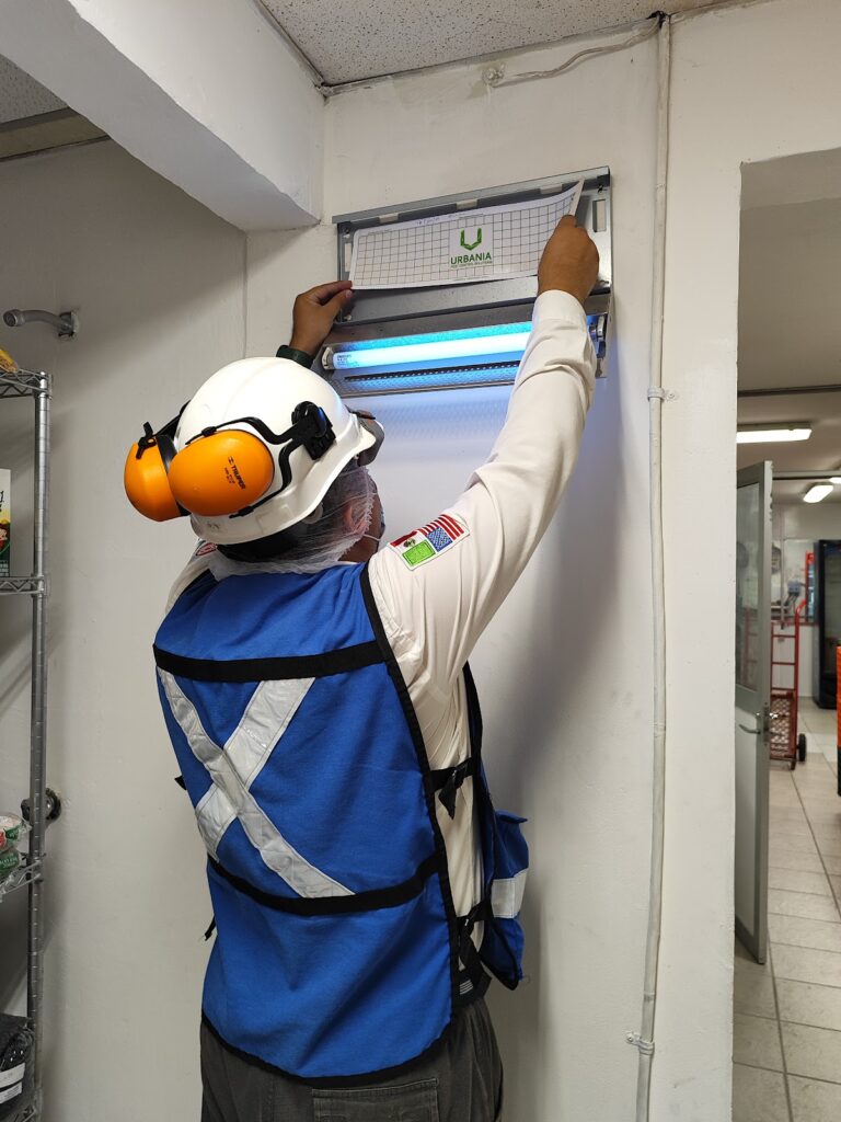 14113 fumigaciones xalapa control de plagas xalapa control de termitas grupo leoli 768x1024